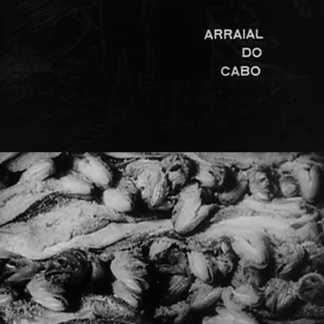 Arraial do Cabo