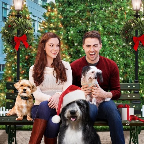 A Dogwalker's Christmas Tale