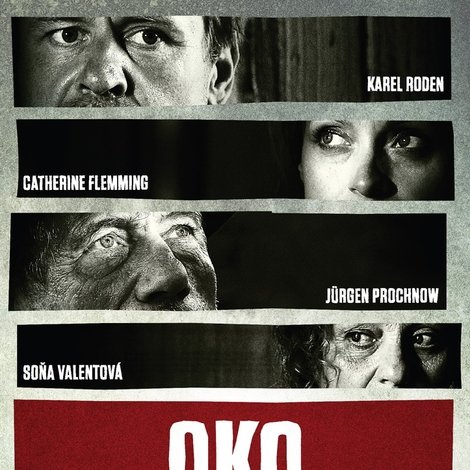 Oko ve zdi