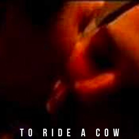 To Ride a Cow
