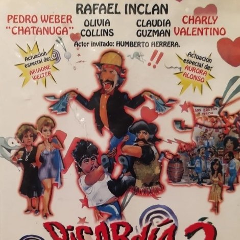 Picardia mexicana 3