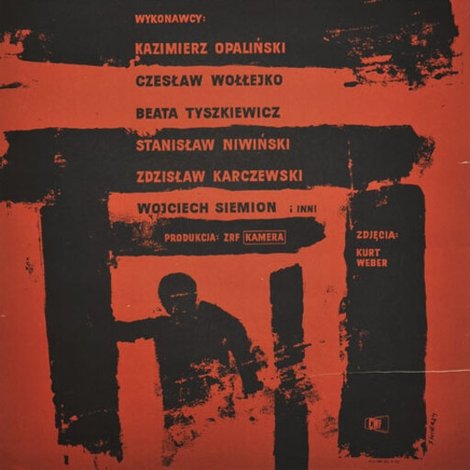 Czarne skrzydła