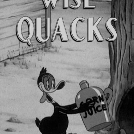 Wise Quacks
