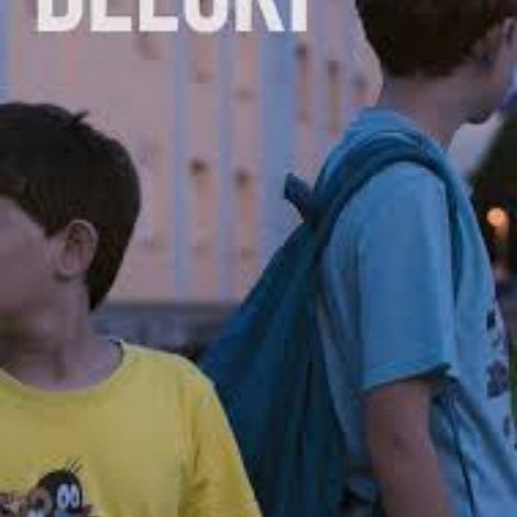 Delčki