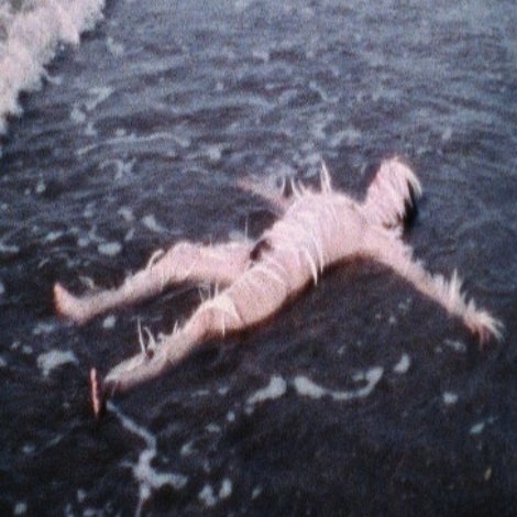 Ocean Bird (Washup)