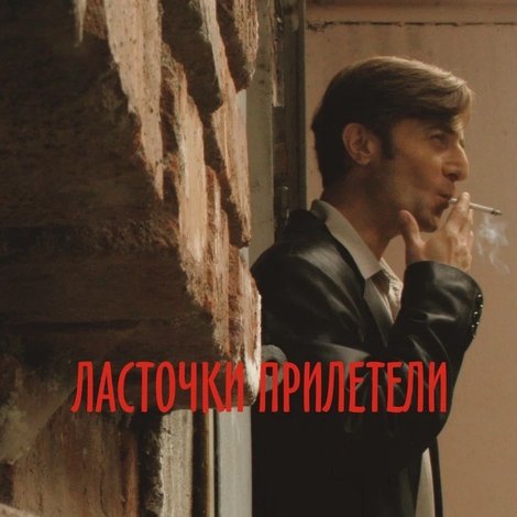 Ласточки прилетели