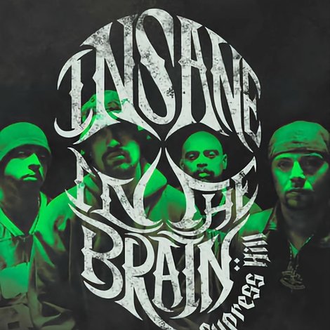 Cypress Hill: Insane in the Brain