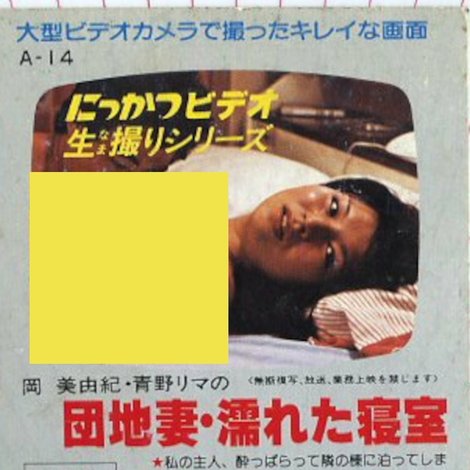岡美由紀・青野リマの 団地妻・濡れた寝室