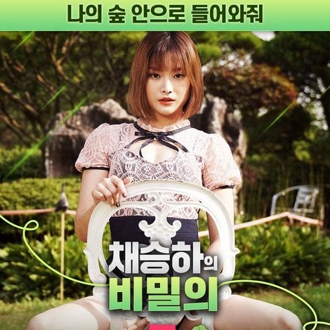 채승하의 비밀의 숲