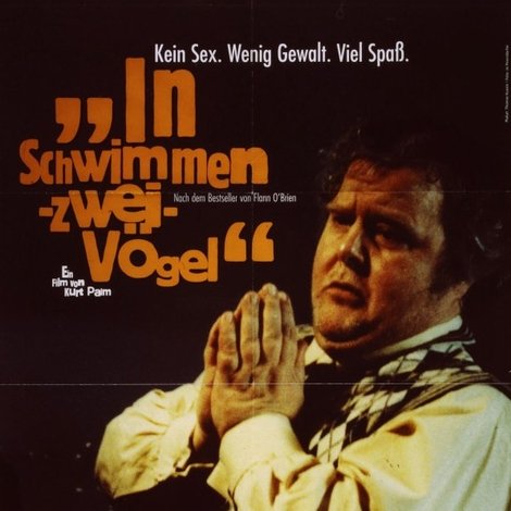 In Schwimmen zwei Vögel