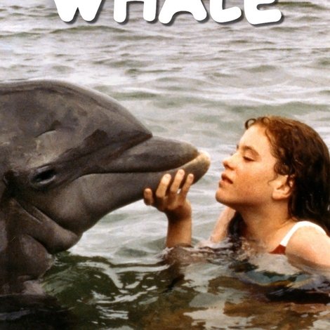 La Grenouille et la Baleine