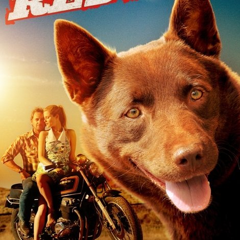 Red Dog