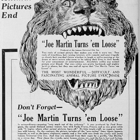 Joe Martin Turns 'Em Loose