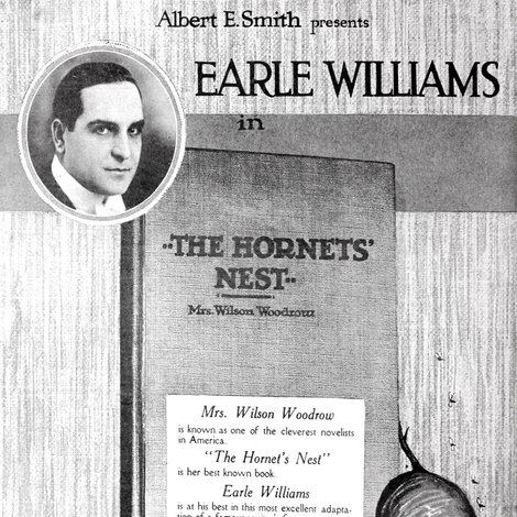 Hornet's Nest