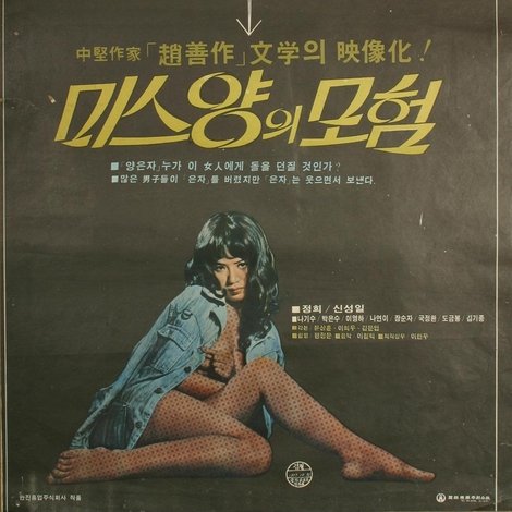 미스양의 모험