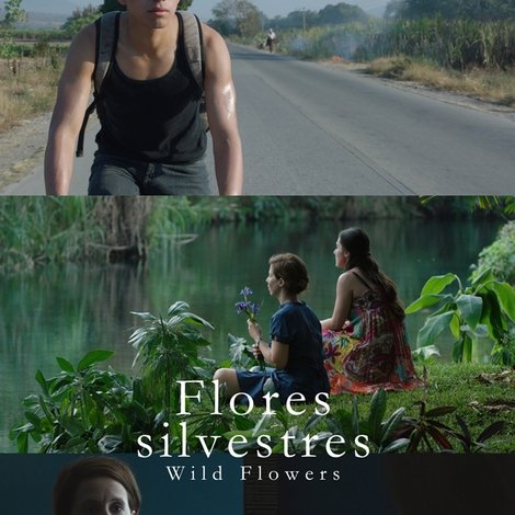 Flores silvestres