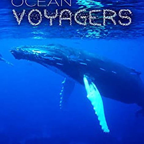 Ocean Voyagers
