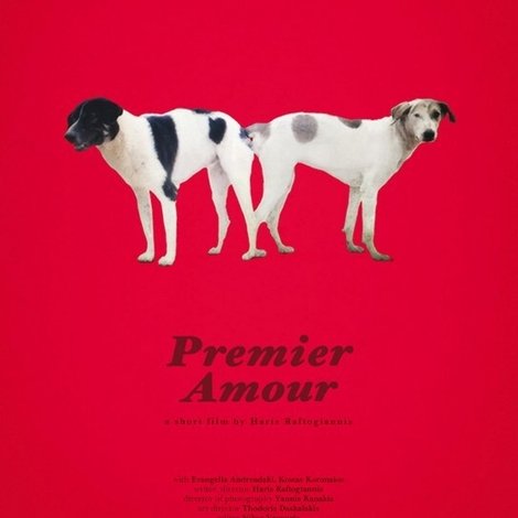 Premier Amour