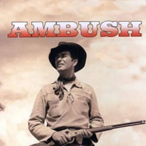 Ambush