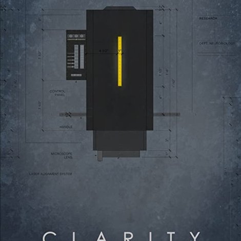 Clarity
