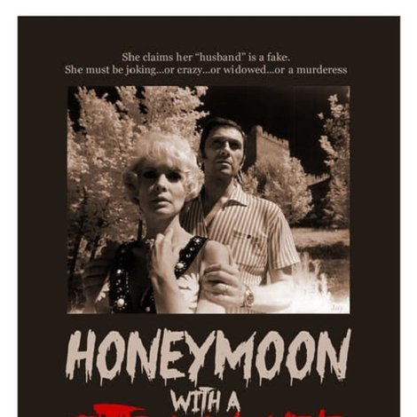 Honeymoon with a Stranger