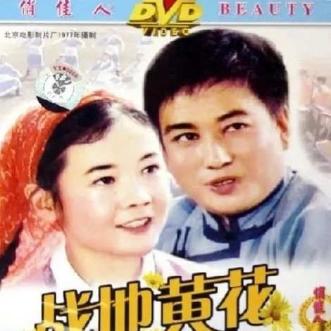 战地黄花