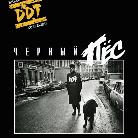 ДДТ: Чёрный пёс Петербург