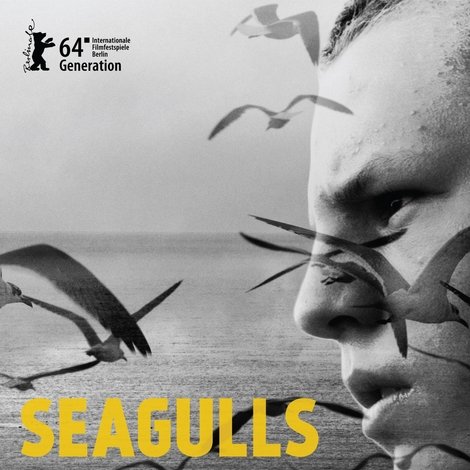 Seagulls