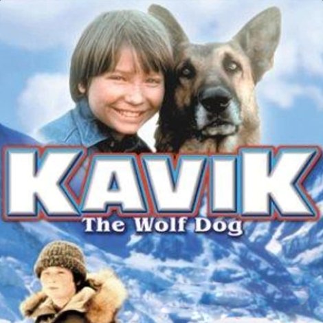 The Courage of Kavik, the Wolf Dog