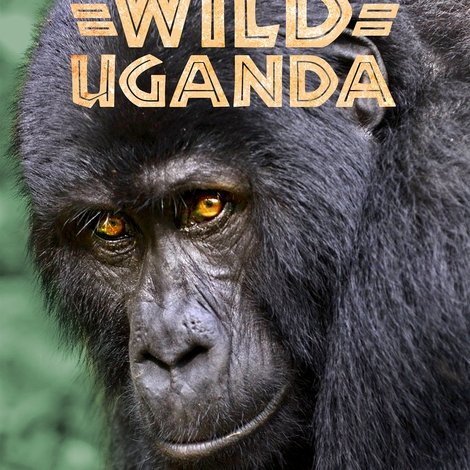 Wild Uganda