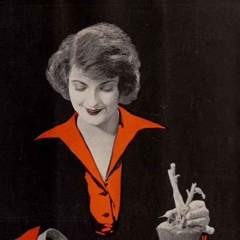 The Wicked Darling
