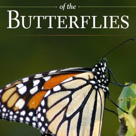 The Incredible Journey of the Butterflies
