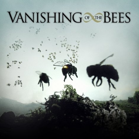 Vanishing of the Bees