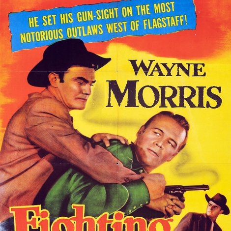 Fighting Lawman