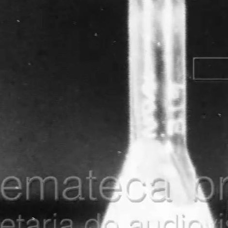 Febre Amarela I