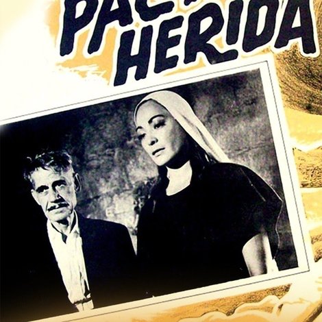 Paloma herida