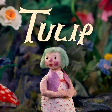 Tulip
