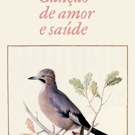 Canção de Amor e Saúde