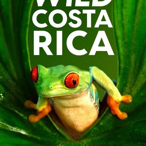 Wild Costa Rica