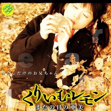 くりいむレモン またの日の亜美