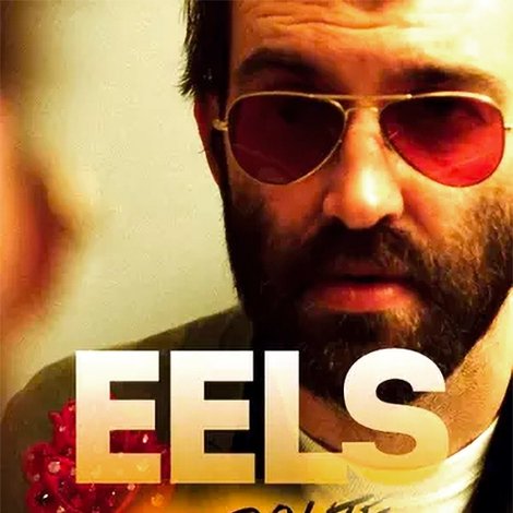 EELS: Live At La Route Du Rock