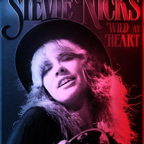 Stevie Nicks: Wild at Heart