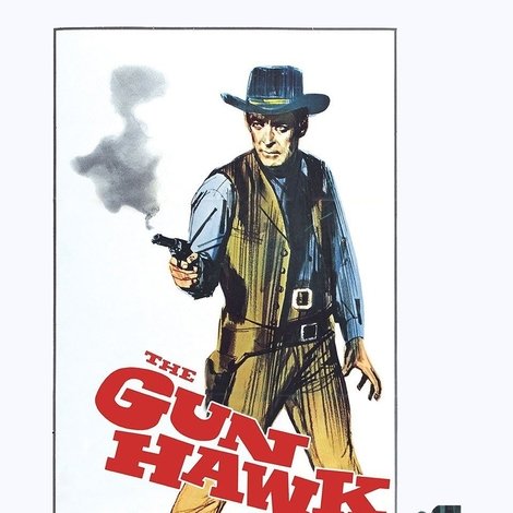 The Gun Hawk