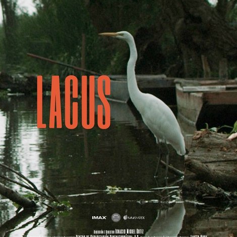 Lacus