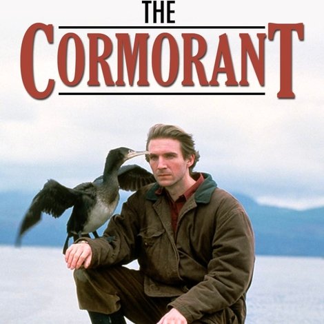 The Cormorant
