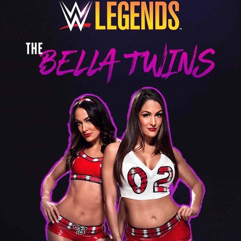 Biography: The Bella Twins