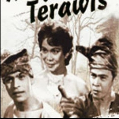 Megat Terawis