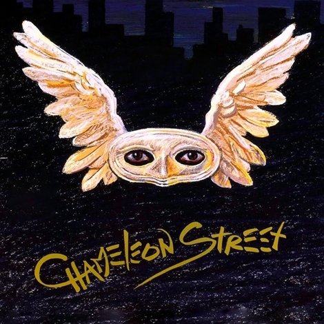 Chameleon Street