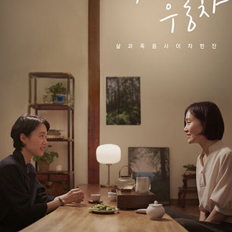 백차와 우롱차