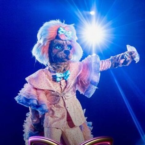 The Masked Singer in concert